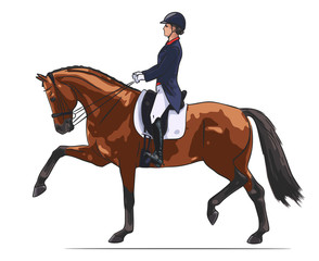 Dressage rider and horse during the competition