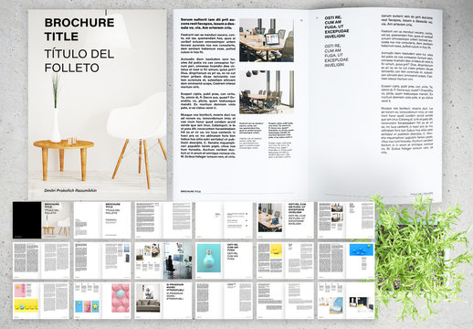 Brochure Layout with Bold Text Elements