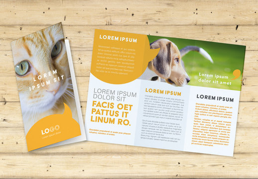 Trifold Brochure Layout with Yellow Speech Bubble Elements