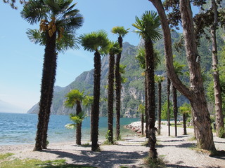 Riva del Garda am Gardasee im Trentino 