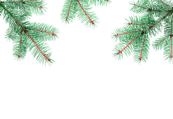 Obraz premium Top view on three fir branches isolated on white background. Template, blank, concept for christmas card
