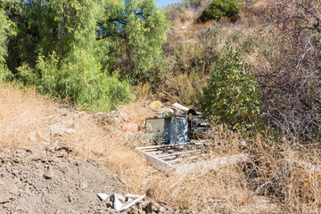 trash pollution in the forest