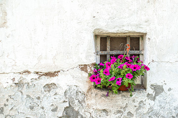 Exterior of a very old village house with decrepit white paint and fresh flowers