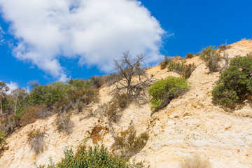 landscape in the mountains