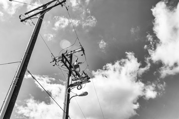 electric pole and wires in black and white