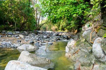 la sidra