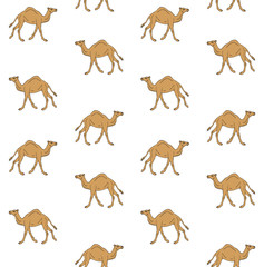 Vector seamless pattern of hand drawn sketch dromedary one humped camel isolated on white background