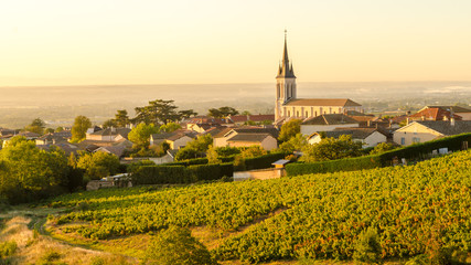 Beaujolais village at morning - obrazy, fototapety, plakaty