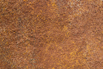 Decorative concrete wall. Close-up. Background. Texture.