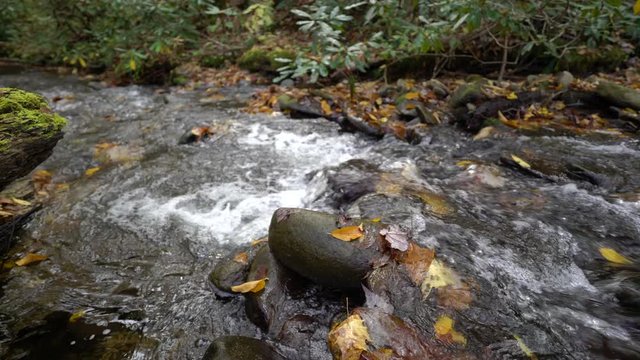 A mountain stream in the blue ridge mountains.