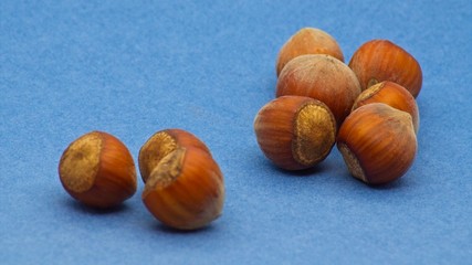 Heap of fresh hazelnuts on light blue background with soft defocus