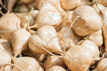 fresh jicama in a crate at local farmers market, tan root vegetables, raw diet, vegetarian, eat local, mexican turnip, spanish jicama, yam bean, many vegetables