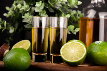 Mexican Gold Tequila with lime and salt on black background with copyspace.