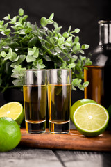 Mexican Gold Tequila with lime and salt on black background with copyspace.