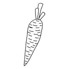 Carrot set black and white.Vegetable lettering and calligraphy phrase for invitation, greeting card, t-shirt, prints, social media, blogs and posters .Vector illustration.