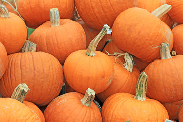 Orange pumpkins