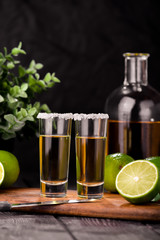 Mexican Gold Tequila with lime and salt on black background with copyspace.