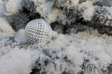 Christmas decoration - a ball on a snowy branch of spruce
