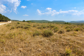 Mountains on the horizon beyond the field.