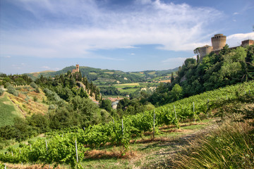 Castle and Tower in Brisighella - Italy