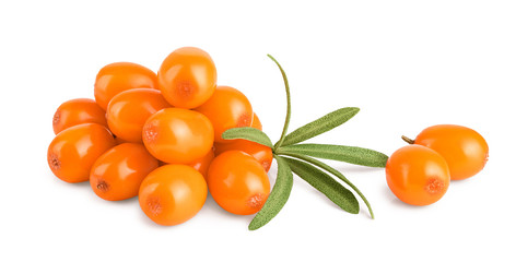 Sea buckthorn. Fresh ripe berry with leaves isolated on white background macro