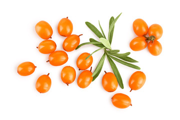 Sea buckthorn. Fresh ripe berry with leaves isolated on white background. Top view. Flat lay pattern