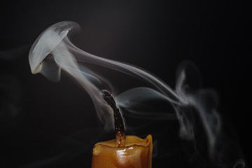 Steam jellyfish. Faded burned candle