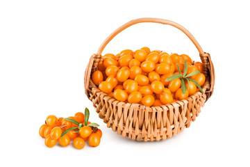 Sea buckthorn. Fresh ripe berry with leaves in wicker basket isolated on white background macro