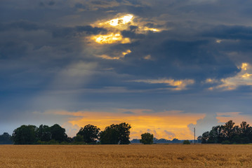 Agriculture field with dramatic storm clouds in background.