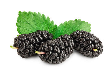 Mulberry with leaf isolated on white background