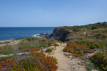 Küste, Klippen und Meer am Wanderweg „Rota Vicentina“ (Historischer Weg, Fischerweg) im Süden von Portugal  