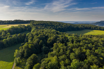 Waldlandschaft - Luftbild