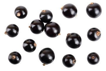 black currant isolated on white background. Top view. Flat lay pattern