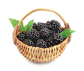 blackberry in basket with leaf isolated on a white background closeup