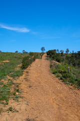 Fototapeta premium Küste, Klippen und Meer am Wanderweg „Rota Vicentina“ (Historischer Weg, Fischerweg) im Süden von Portugal 