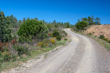 Landschaftan der „Rota Vicentina“ (Historischer Weg, Fischerweg) im Süden von Portugal 