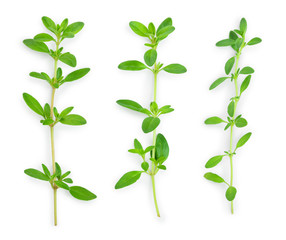 Fresh thyme spice isolated on white background, Top view. Flat lay.