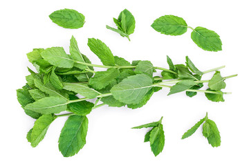 fresh green mint leaves isolated on white background, top view. Flat lay