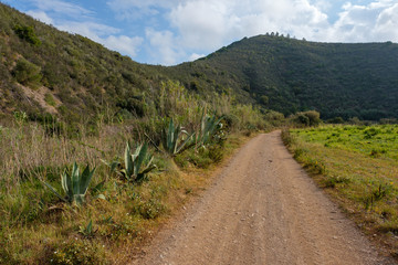 Fototapeta na wymiar Landschaftan der „Rota Vicentina“ (Historischer Weg, Fischerweg) im Süden von Portugal 