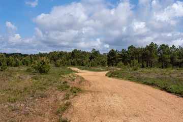 Fototapeta na wymiar Landschaftan der „Rota Vicentina“ (Historischer Weg, Fischerweg) im Süden von Portugal 
