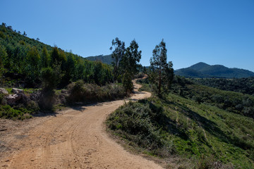 Obraz premium Landschaftan der „Rota Vicentina“ (Historischer Weg, Fischerweg) im Süden von Portugal 