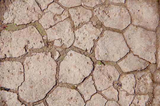 Old street tiles with cracks. Grey background.