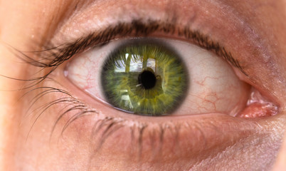 Human eye close-up