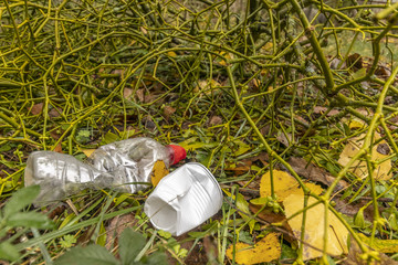 Bouteille et gobelet en plastique jetés dans une forêt