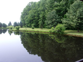 Pond Reflection