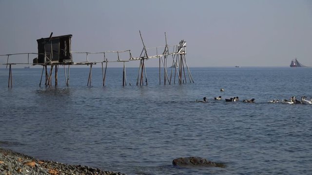 Dalyan which is a traditional pier for fishing at Tekirdag Turkey with ducks and geese