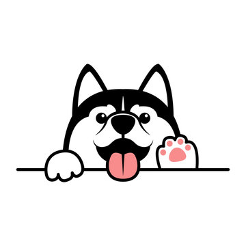 Cute siberian husky dog paws up over wall, vector illustration