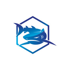 Shark hexagon logo design vector isolated illustration template
