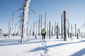 schneeschuhwanderer erkundet unbekanntes gebiet in einer traumhaften märchenhaften winterlandschaft