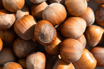 Hazelnut. Fresh organic filbert on white background. Nut macro. 